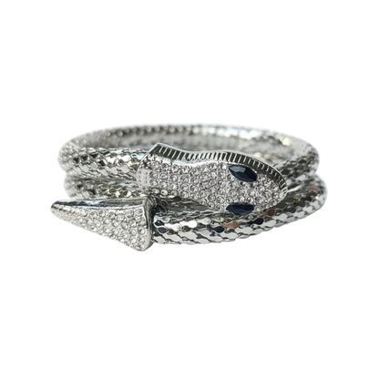 Conjunto Collar y Pulsera Serpiente Plateada
