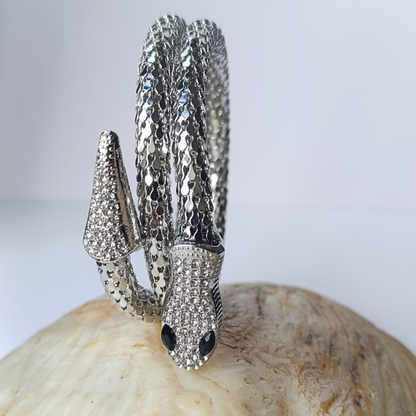 Conjunto Collar y Pulsera Serpiente Plateada